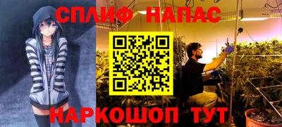 скорость Славянск-на-Кубани