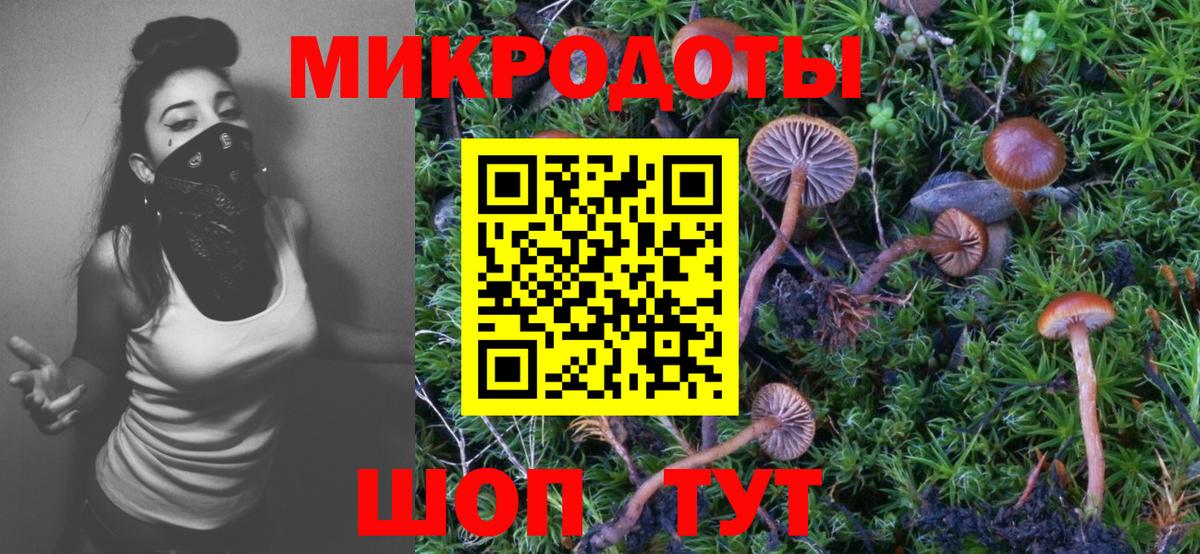 Псилоцибиновые грибы мухоморы Отрадный
