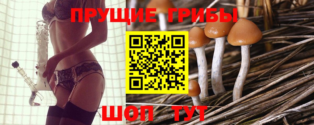 Отрадный  Галлюциногенные грибы Psilocybe  цены   Вход с VPN 